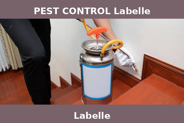 PEST CONTROL Labelle